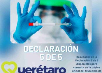 Declaración 5 de 5