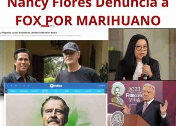 el marihuano de fox