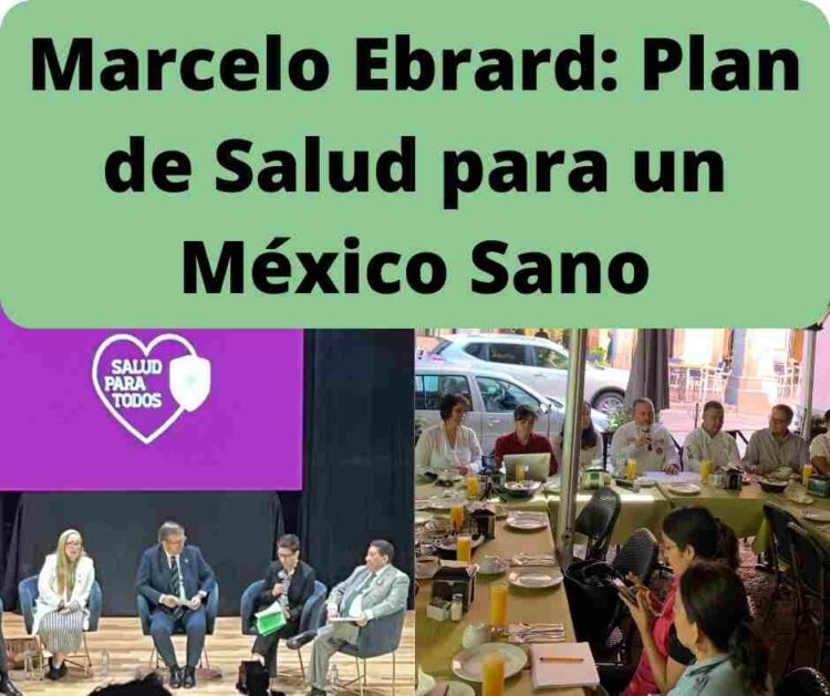 Marcelo Ebrad, Salud para todos