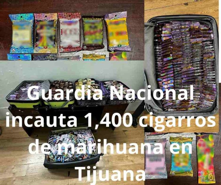 Guardia Nacional incauta 1,400 cigarros de marihuana en Tijuana