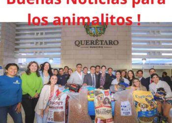 Ayuntamiento de Querétaro aprueba innovador Reglamento de Protección Animal