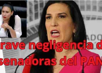 Renuncia Consejo Consultivo CNDH