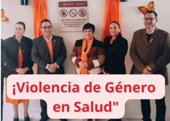 Violencia de Género en Salud