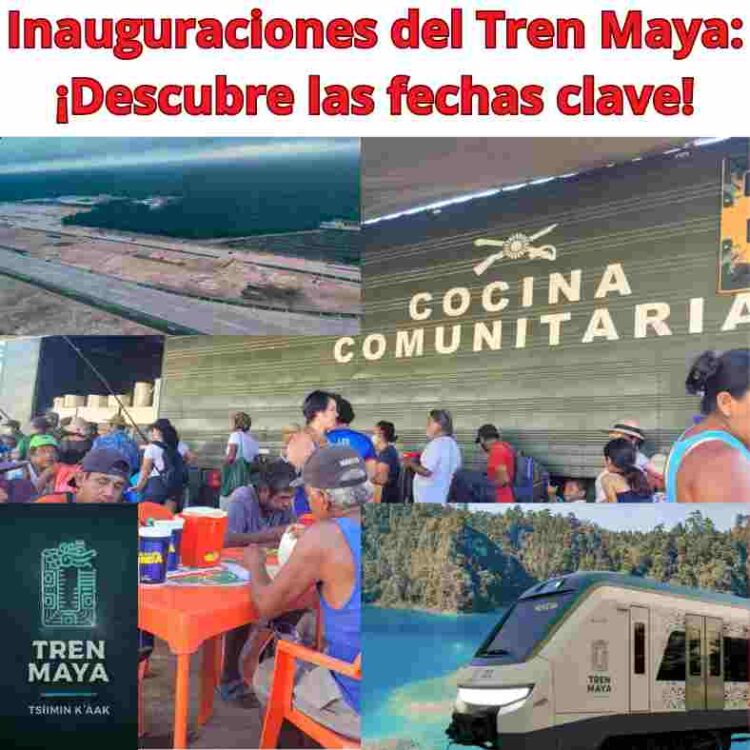 Inauguraciones del Tren Maya: ¡Descubre las fechas clave!