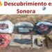 🔥 Descubrimiento en Sonora