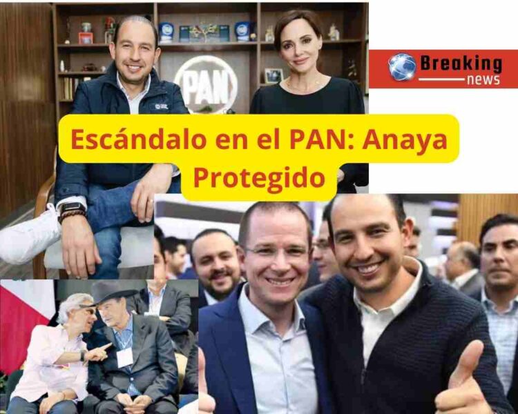 Tensión en el PAN: Anaya y Cortés lideran la lista plurinominal para 2024