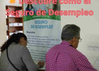 🌟 Descubre cómo el Seguro de Desempleo transformó vidas en 2023, apoyando a 3,200 personas hacia un futuro laboral más brillante.