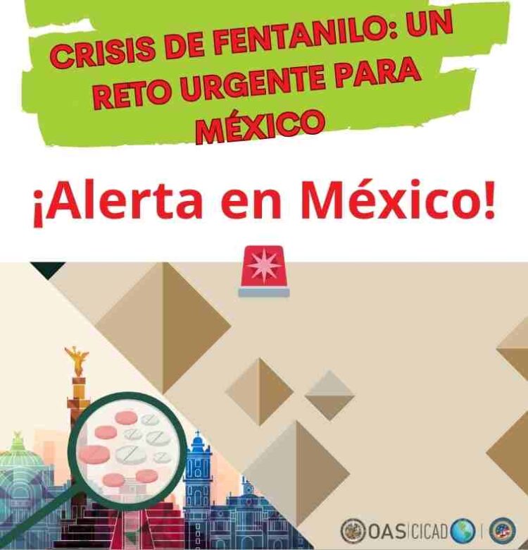 ???? Informe de Conasama revela un aumento crítico en el consumo de fentanilo en México. Descubre las medidas urgentes para combatir esta crisis. #FentaniloMéxico #CrisisOpioides