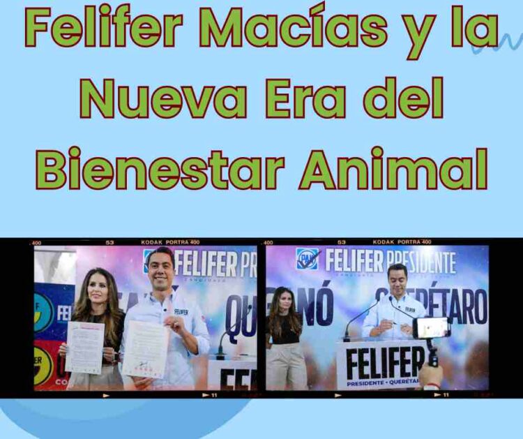 Felifer Macías y la Nueva Era del Bienestar Animal