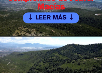 Querétaro Verde: El Compromiso de Felifer Macías