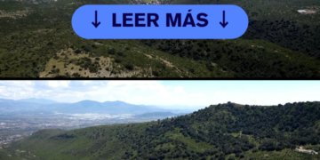 Querétaro Verde: El Compromiso de Felifer Macías