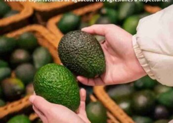 Embajador de EU en Michoacán para Normalizar Exportación de Aguacate