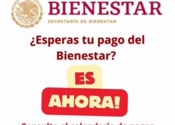 Calendario de Pagos de Bienestar Inicia: Detalles Clave