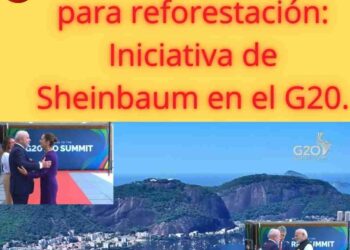 Claudia Sheinbaum plantea histórica reforestación en el G20.