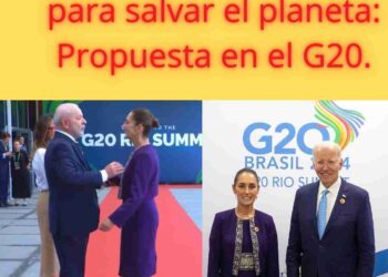 Super lunes: Sheinbaum propone reforestación global en el G20.