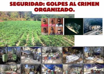 Acciones estratégicas contra el narcotráfico y robo de hidrocarburos en México.