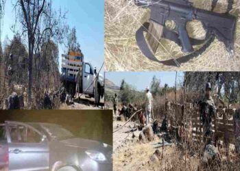 Estrategia Nacional de Seguridad logra importantes avances en decomisos y rescates.