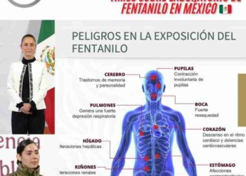 Desmienten credibilidad del reportaje de NYT sobre fentanilo, señala SEMAR