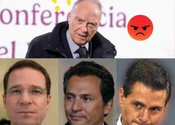 Gertz sobre Lozoya: “Estamos atrapados en un pantano judicial”, mientras Anaya sigue impune