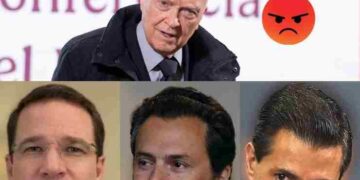 Gertz sobre Lozoya: “Estamos atrapados en un pantano judicial”, mientras Anaya sigue impune