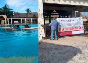 Profepa interviene: Delfines en peligro en el Hotel Barceló