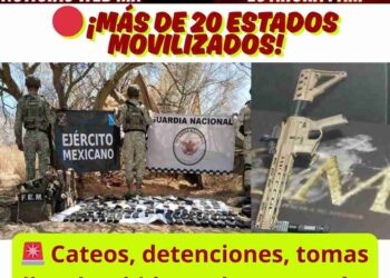 La lucha contra el crimen organizado continúa: datos, cifras y preguntas incómodas