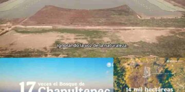 ¿Por qué no puedes comparar el aeropuerto de Texcoco con los de Japón o Nueva York?