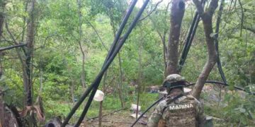 🚨 ¡Desmantelan laboratorios narcos