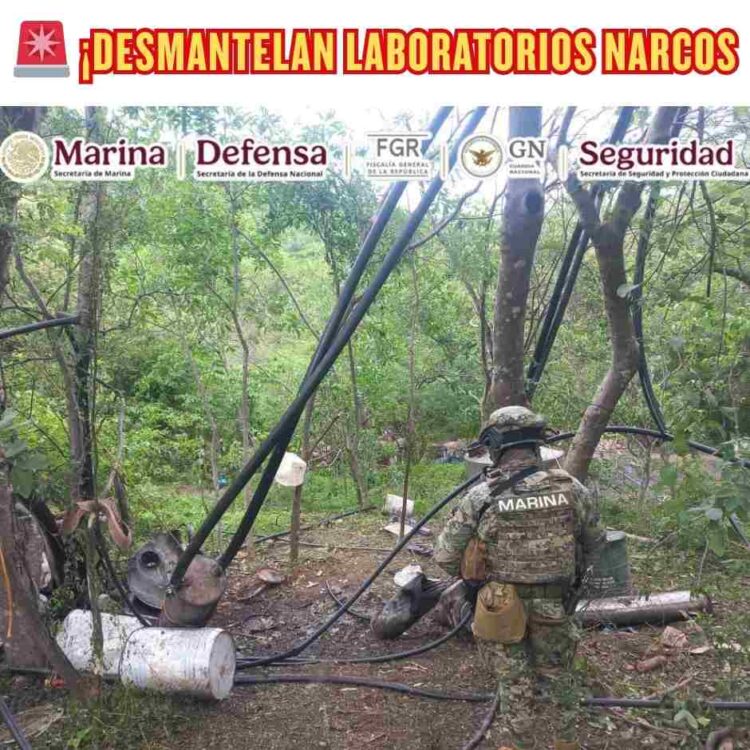 🚨 ¡Desmantelan laboratorios narcos