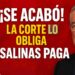 La Corte revienta la fiesta de Salinas Pliego: debe pagar y no hay vuelta atrás