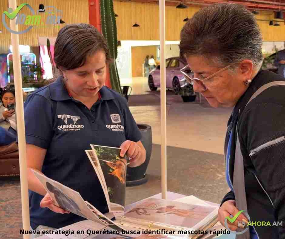 Querétaro impulsa registro animal con microchips